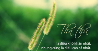 Tha thứ là hành trình tìm bình yên trong tâm hồn