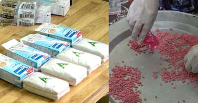 Quảng Bình: 30.000 viên hồng phiến ngụy trang trong các thùng sữa