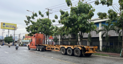 Người đàn ông tử vong dưới mưa ở TP Thủ Đức