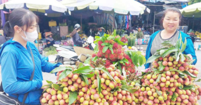 Vải thiều sớm Bắc Giang “cháy hàng” dù giá cao chót vót đầu mùa