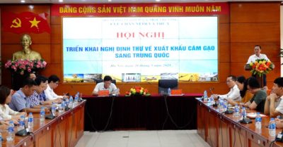 Bứt phá xuất khẩu cám gạo sang Trung Quốc: Cơ hội vàng cho phụ phẩm nông nghiệp Việt