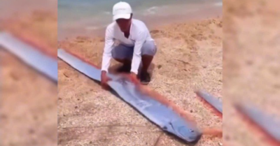 Cá mái chèo dài gần 2m bất ngờ xuất hiện ở Ninh Thuận