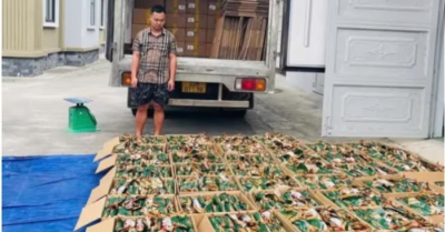 Tuyên Quang: Thu giữ hơn 5,3 tấn chân gà không rõ nguồn gốc chuẩn bị tiêu thụ