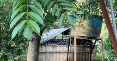 Phát hiện hai người tử vong trong trang trại nuôi vịt