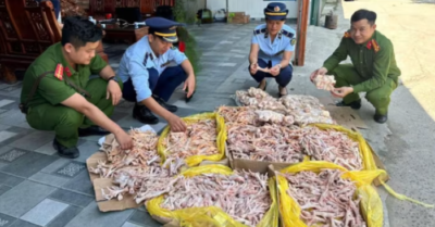 Nghệ An: Phát hiện gần 500kg chân gà, đuôi lợn không rõ nguồn gốc tại một công ty thực phẩm
