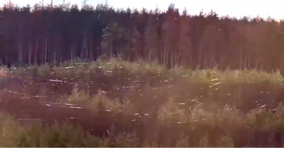 “Mạng nhện tử thần”: Ukraine tung UAV cáp quang vô hiệu hóa tác chiến điện tử Nga