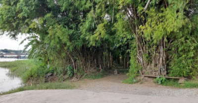 Lũy tre làng – “Phòng khách không tường” của ký ức quê nhà