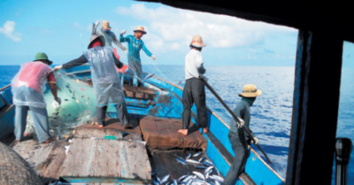Nghề ngư dân – Mưu sinh và giữ biển