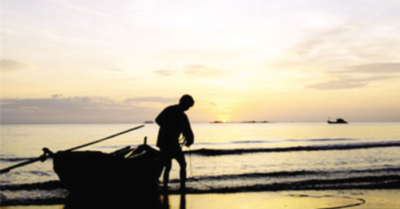 Trải nghiệm câu mực đêm ở Cửa Lò: Độc đáo, hấp dẫn và đậm chất biển