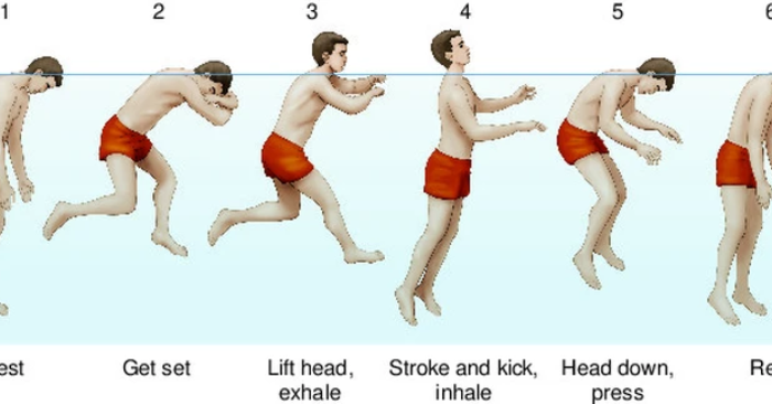 Kỹ thuật bơi sống sót