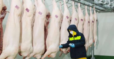 C.P. Việt nam “trắng án” trong vụ tố cáo bán thịt heo bệnh