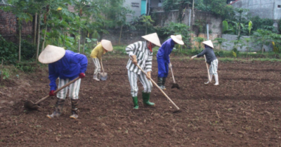 Góc khuất của xã hội – nơi những mầm sống được gieo lại