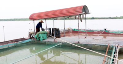 Miền Bắc cấp tốc ứng phó bão số 3: Cấm biển, sơ tán, trực 24/24