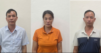 Quảng Ninh: Giám đốc Công ty Lâm nghiệp Hoành Bồ bị bắt vì khai thác rừng trái phép