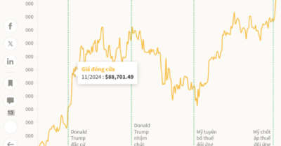 Bitcoin lập đỉnh kỷ lục mới trên 115.000 USD, vốn hóa vượt Alphabet và bạc