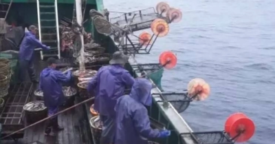 Thảm sát rúng động trên tàu cá Trung Quốc: 33 người ra khơi, chỉ 11 người trở về