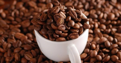 Giá cà phê tăng mạnh 1.600 đồng/kg: Nông dân, doanh nghiệp hưởng lợi kép