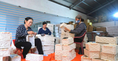 Những người phụ nữ Tiền Hải khởi nghiệp thành công