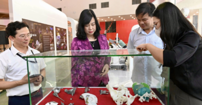 Khám bệnh AI, phòng mổ ảo tại Triển lãm 80 năm: Y học Việt vươn tầm công nghệ
