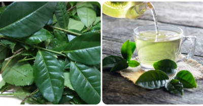 Uống nước chè xanh buổi sáng: Bí quyết đẹp da, tăng năng lượng và bảo vệ sức khỏe