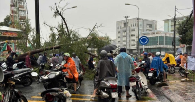 Cây xanh bật gốc giữa mưa lớn ở Cà Mau, 2 người đi đường bị thương