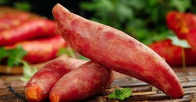 Ăn khoai lang tối đa dinh dưỡng: Bí quyết từ chuyên gia.