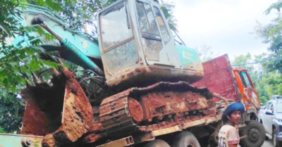 Va chạm xe tải thảm khốc làm 18 con bò chết ở Gia Lai