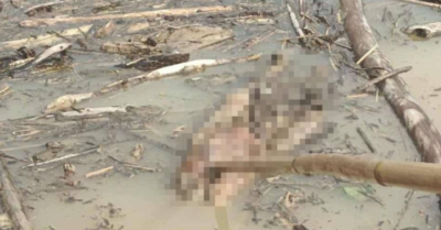 4 thi thể liên tiếp trôi dạt về lòng hồ thủy điện Hủa Na trong 4 ngày