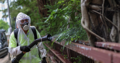 Cảnh báo dịch bệnh toàn cầu mới: Bệnh chikungunya đang lây lan