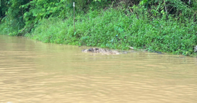 Phát hiện hai thi thể phân hủy mạnh tại hồ thủy điện Hủa Na sau bão