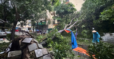 Nghệ An ngổn ngang sau khi bão số 5 đi qua