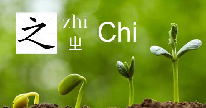Chữ Chi 之 và tinh thần hướng thượng