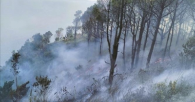 Vụ cháy rừng núi Rồng – Nghệ An: Cảnh báo từ “điểm nóng” hỏa hoạn ven biển