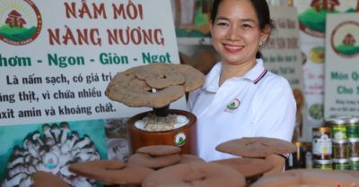 Rời bục giảng, nữ giáo viên An Giang khởi nghiệp với trang trại nấm bạc tỷ