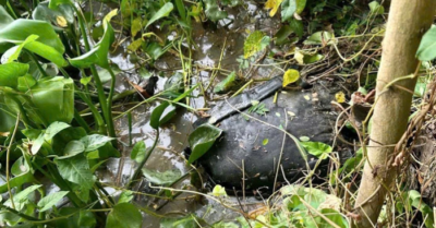 Vụ giết người tình ở Tây Ninh: Hung thủ phi tang thi thể xuống kênh rồi ra đầu thú