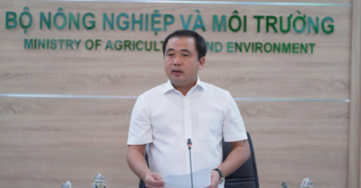 Philippines tạm ngừng nhập khẩu, gạo Việt vẫn vững nhờ dự trữ