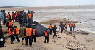 Nóng: Hai tàu cá TP.HCM gặp nạn khi vào trú bão số 10 tại Quảng Trị