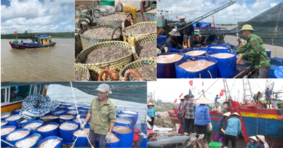 Ngư dân Hưng Yên trúng lớn mùa tép moi, thu nhập hàng triệu đồng mỗi ngày