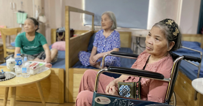 Việt kiều về nước dưỡng lão