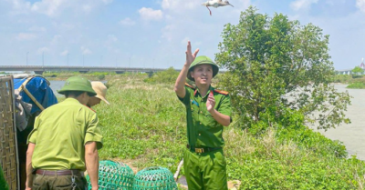 Bảo vệ chim di cư không chỉ là trách nhiệm của lực lượng chức năng