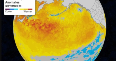 Sóng nhiệt đại dương bao phủ Bắc Thái Bình Dương