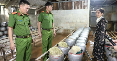 Phát hiện cơ sở dùng chất cấm sản xuất giá đỗ