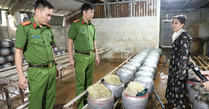 Cơ sở dùng chất cấm sản xuất giá đỗ ở Hà Tĩnh