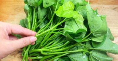 Rau khoai lang – Từ món ăn dân dã đến đặc sản đắt đỏ tại “trời Tây”