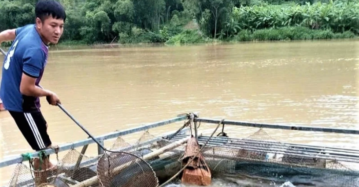 Người dân xã Trung Hạ tất bật chăm sóc lồng cá trên lòng hồ thủy điện Trung Xuân.(Ảnh: BTH)