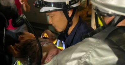 Cháy dữ dội ở Hà Đông, ba mẹ con thoát nạn nhờ cảnh sát