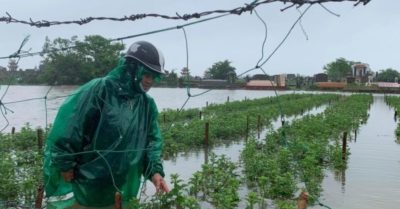 Huế triển khai khẩn cấp các biện pháp ứng phó bão số 10