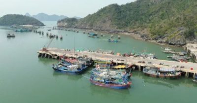 Hải Phòng và Quảng Ninh khẩn trương cấm biển ứng phó bão số 10