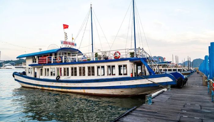 cấm biển phòng chống bão số 10