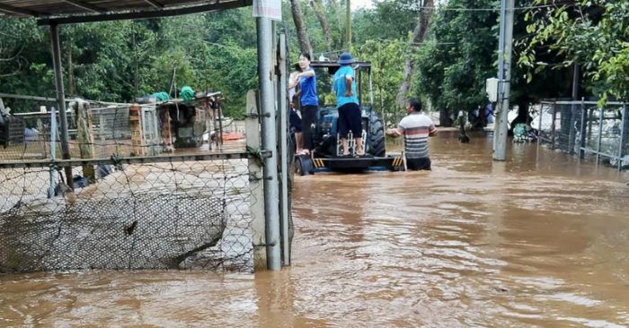 Nhiều khu vực ngập sâu bị chia cắt, người dân di tản bằng máy cày. Ảnh: VH.